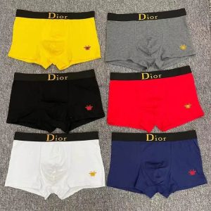 Dior Underwear-409