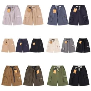 The North face Shorts-430